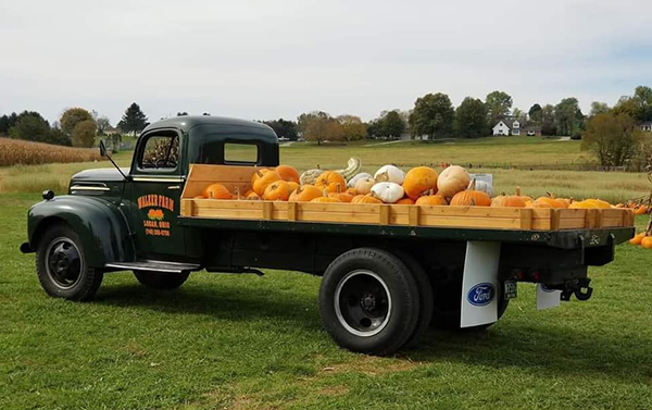 Walker Farm business owner showcasing pumpkin truck